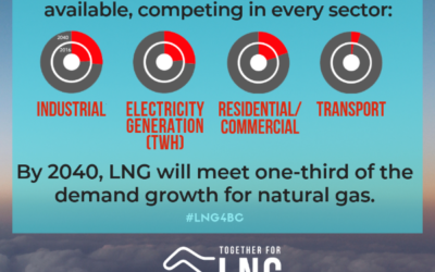 LNG is the most flexible fuel